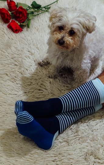 Happy Socks featuring Mr Wilson, our resident psychologist & therapy dog.