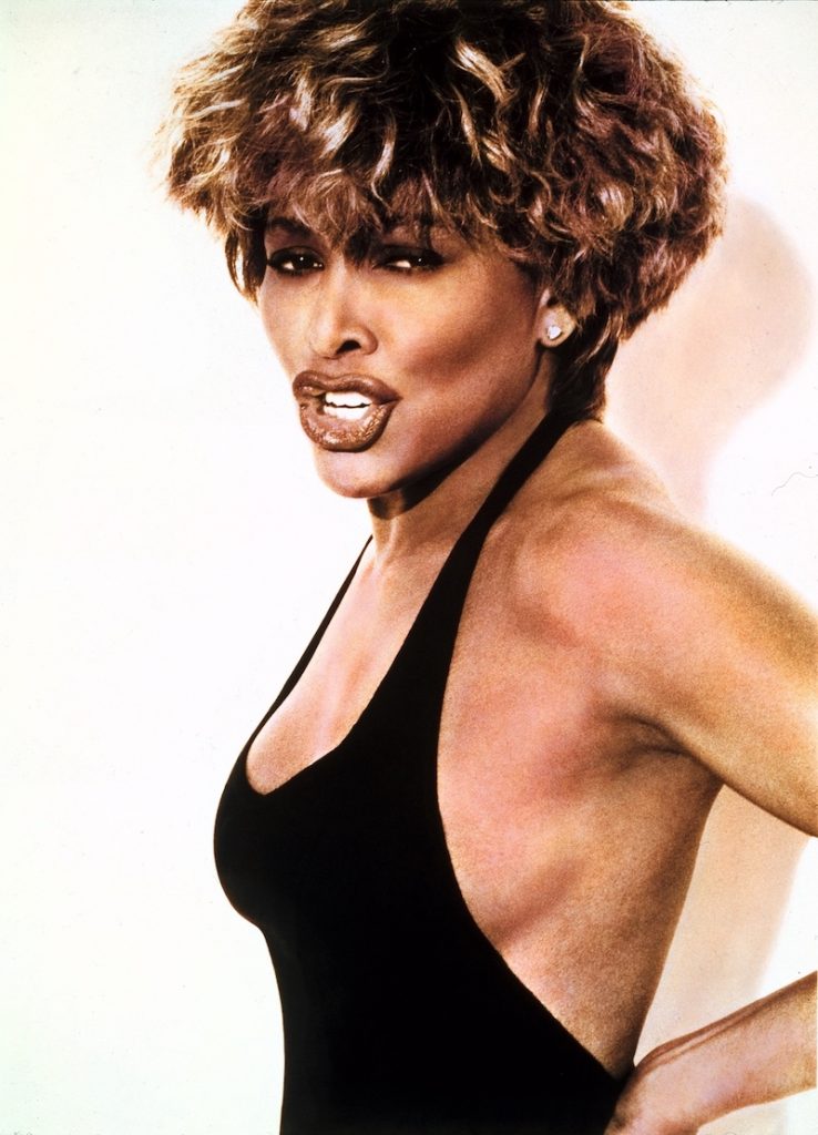 Tina Turner Shaggy Hair